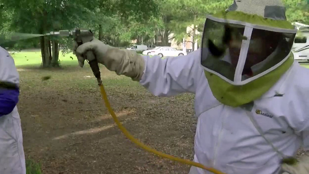 wptv-exterminator-.jpg