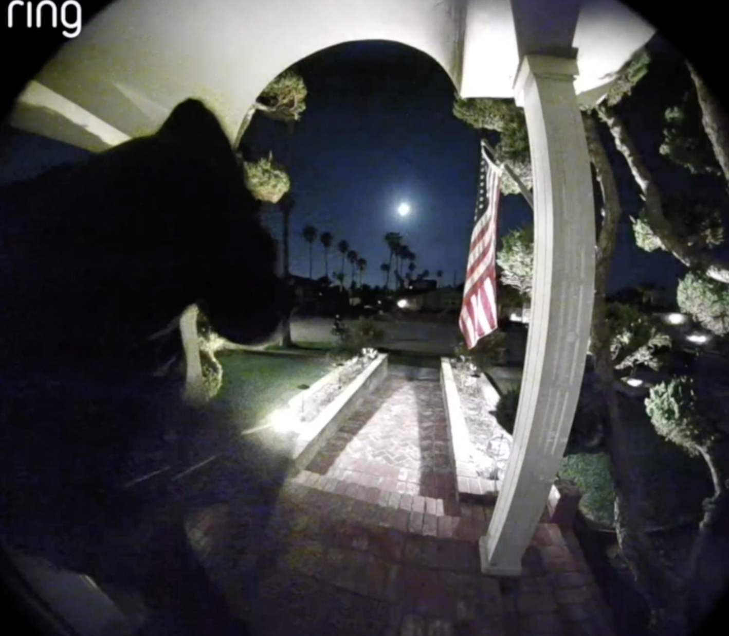 Ocean Beach homeowner fears thousands in repairs after door-kicking prank 