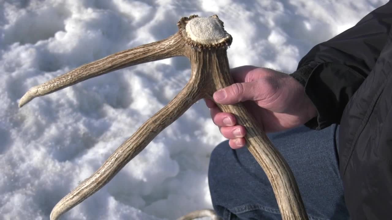 Poster image (5).jpg