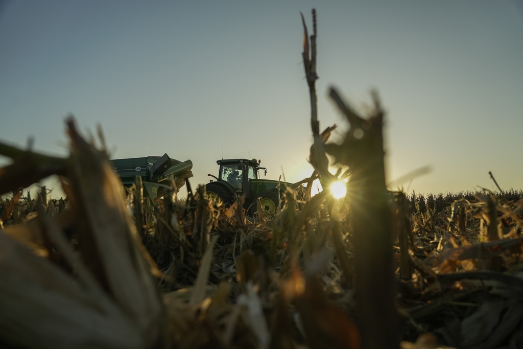Cover Crops