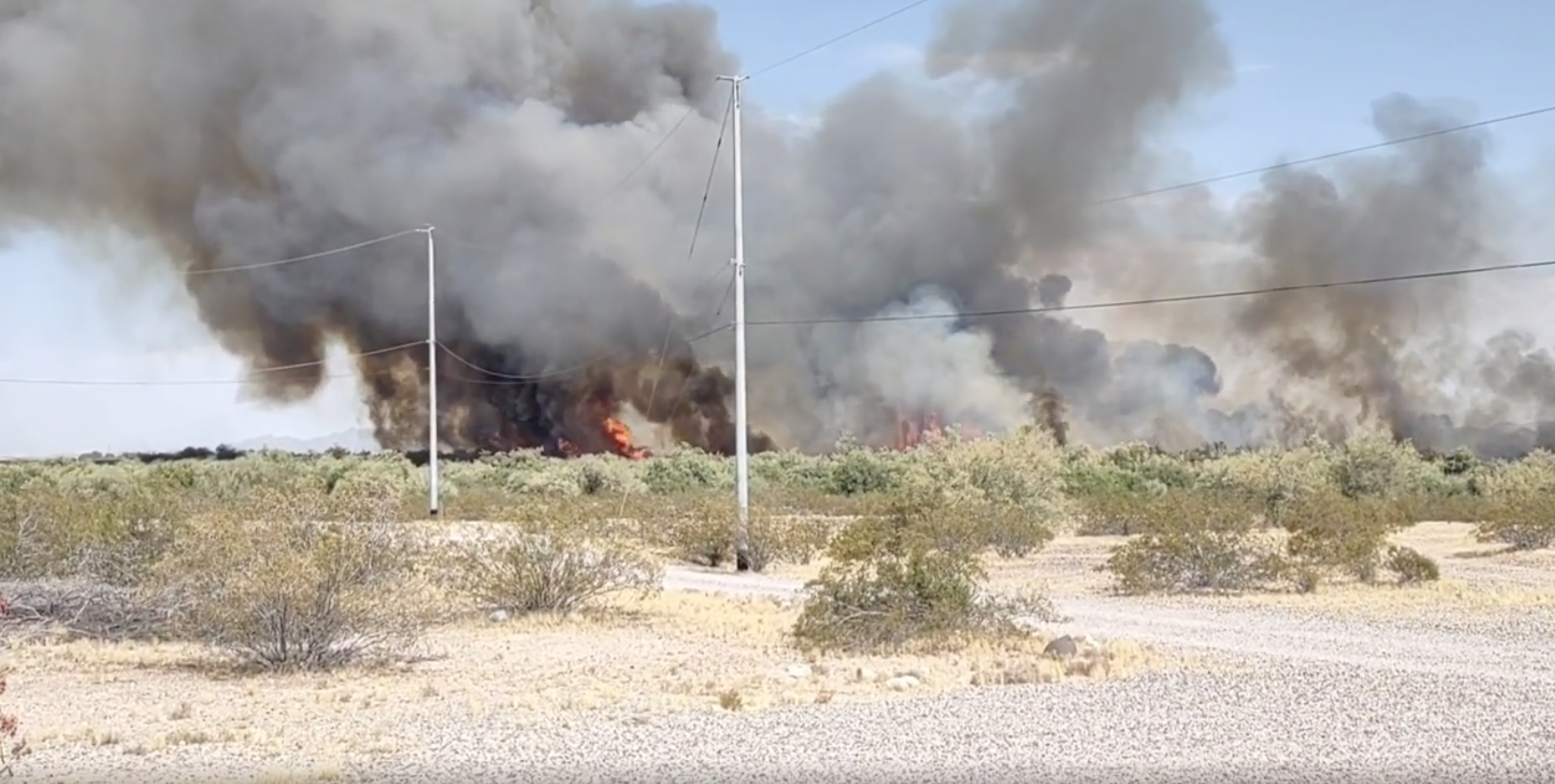 Jeff Walls Buckeye brush fire 6-26-2023
