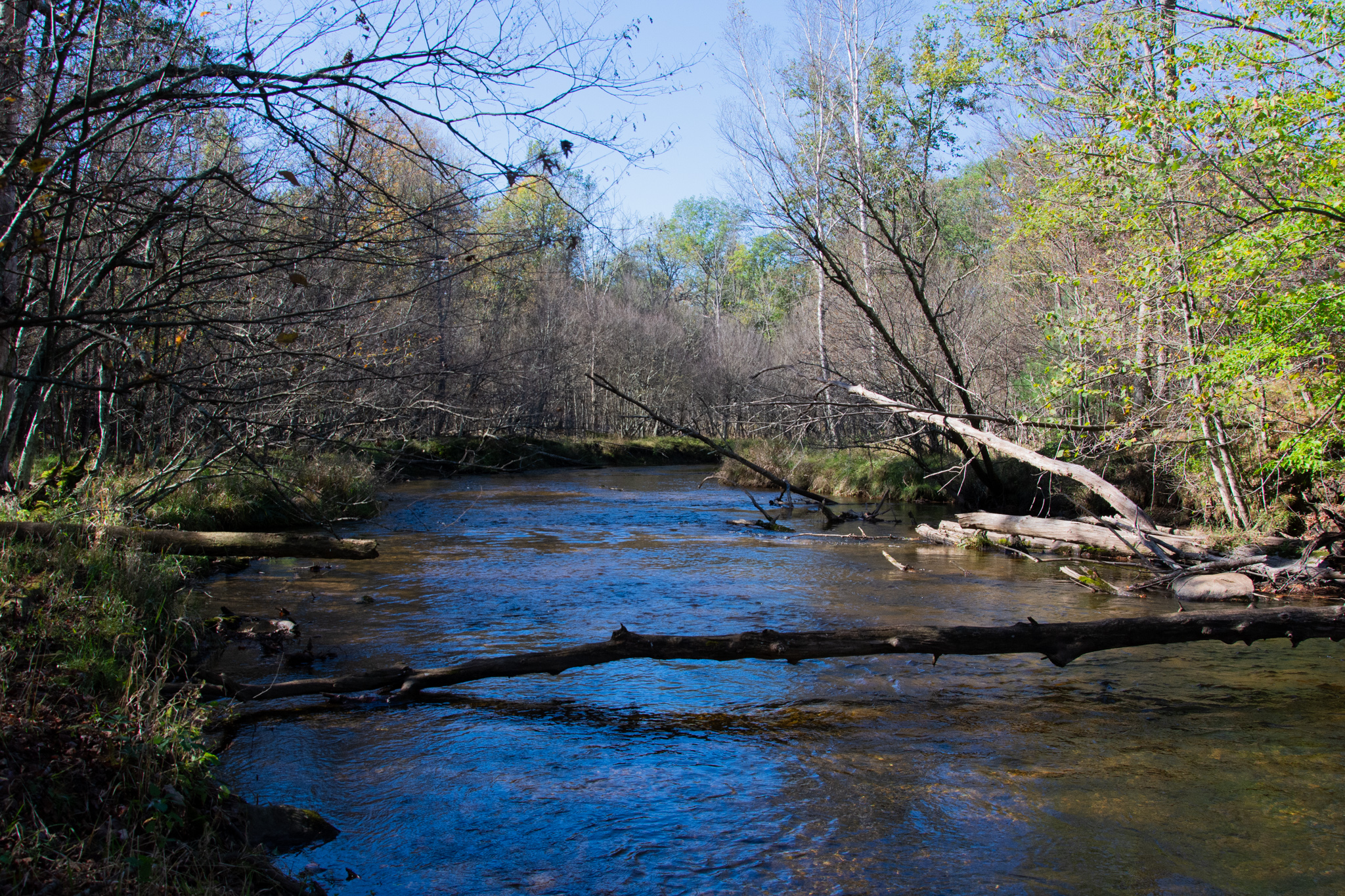 Land Conservancy Donation