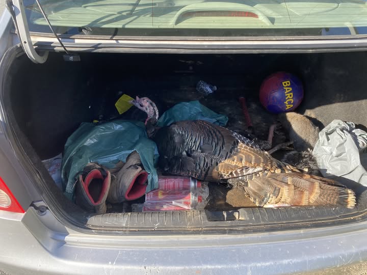 California Department of Fish and Wildlife.jpg