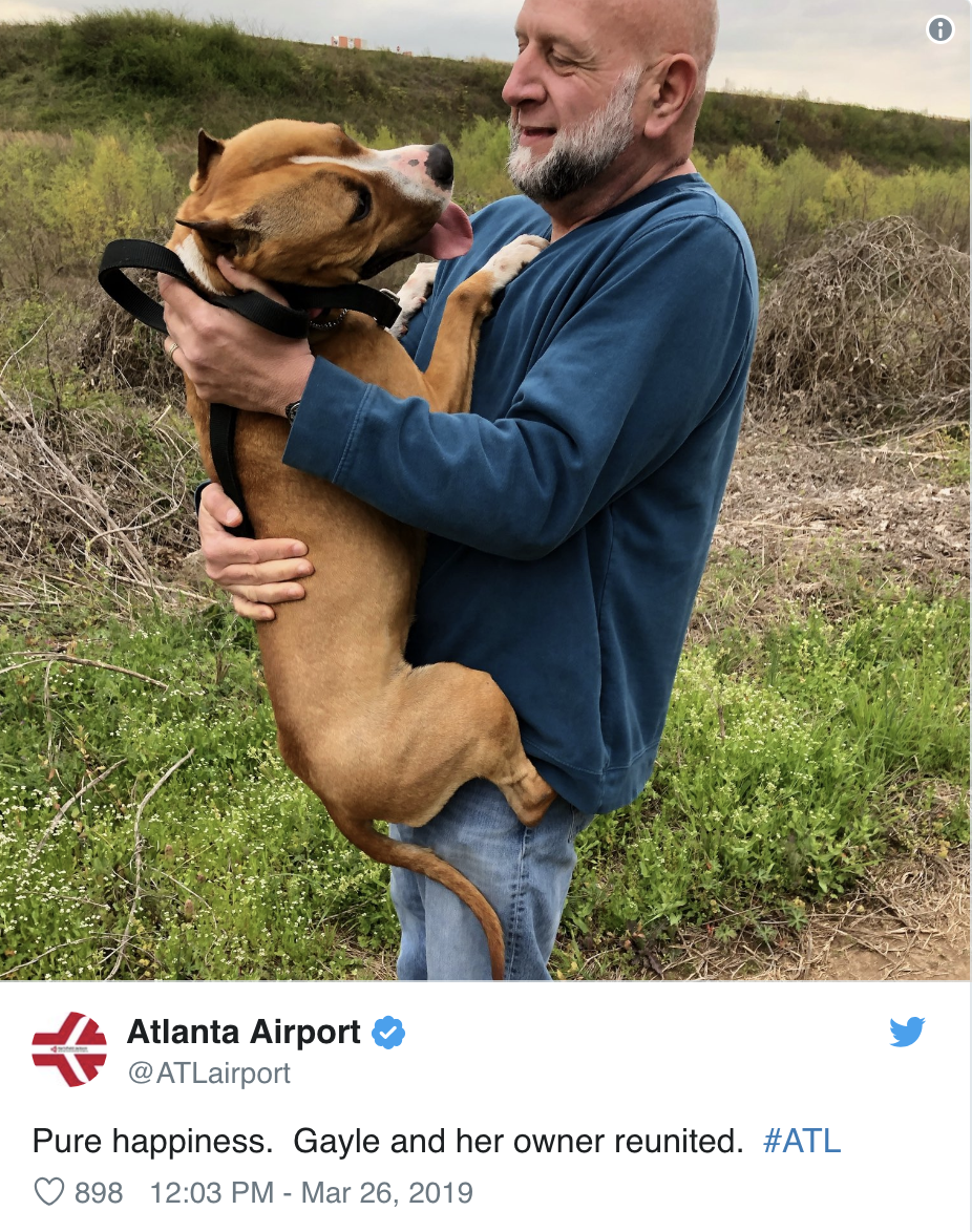 Screen Shot 2019-03-27 at 9.12.50 AM.png