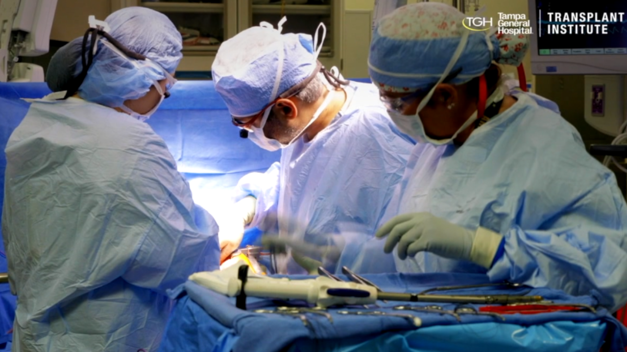 tgh organ transplant.png