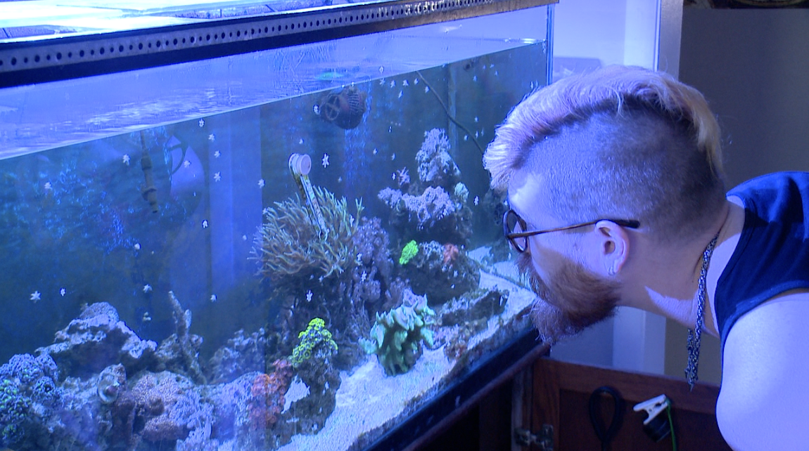 Screenshot 2024-06-25 at 10.18.00 PM.png