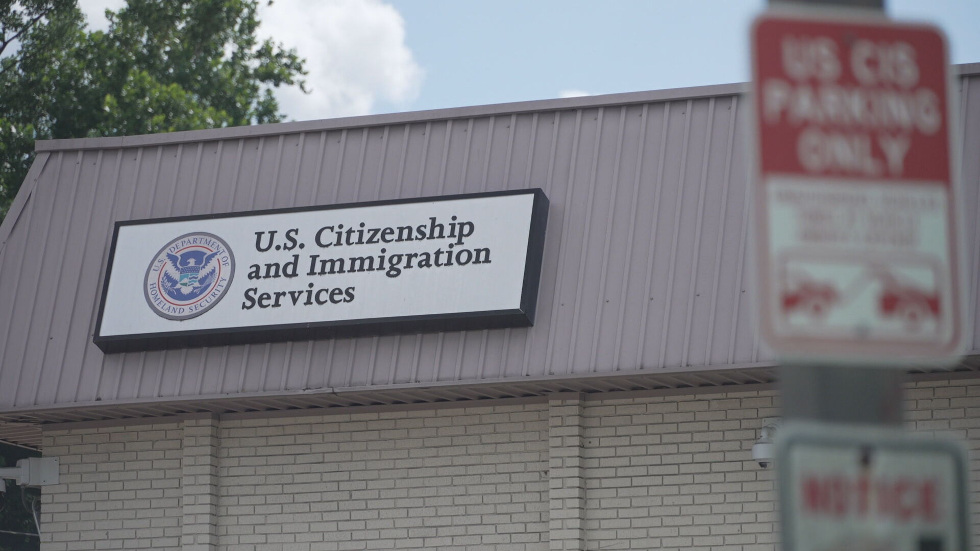 6p Patsy USCIS immigration arrests - PKG.transfer_frame_962.jpeg