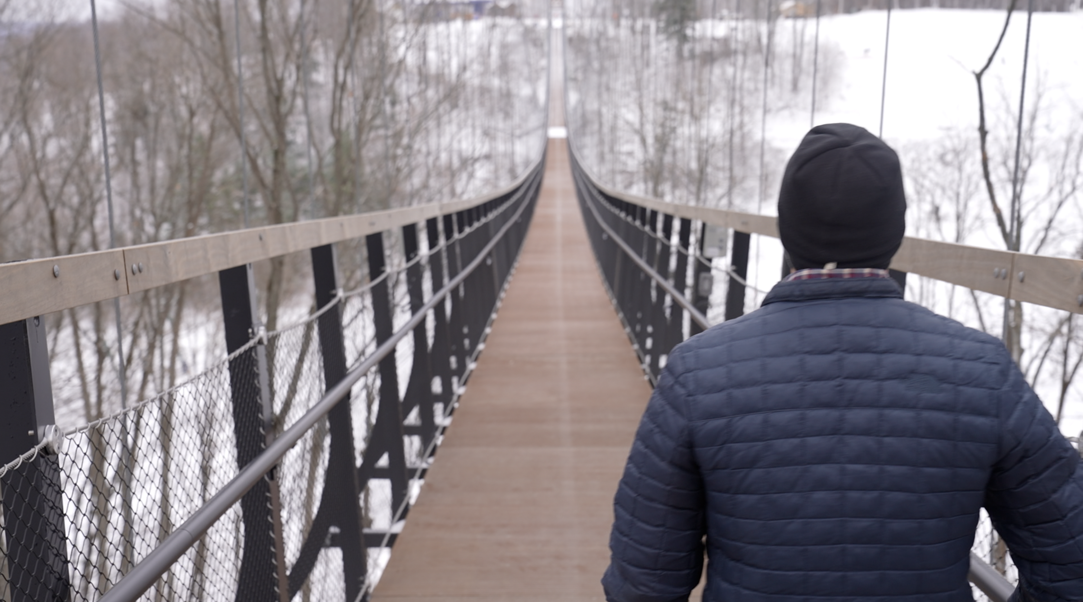 SkyBridge Michigan 