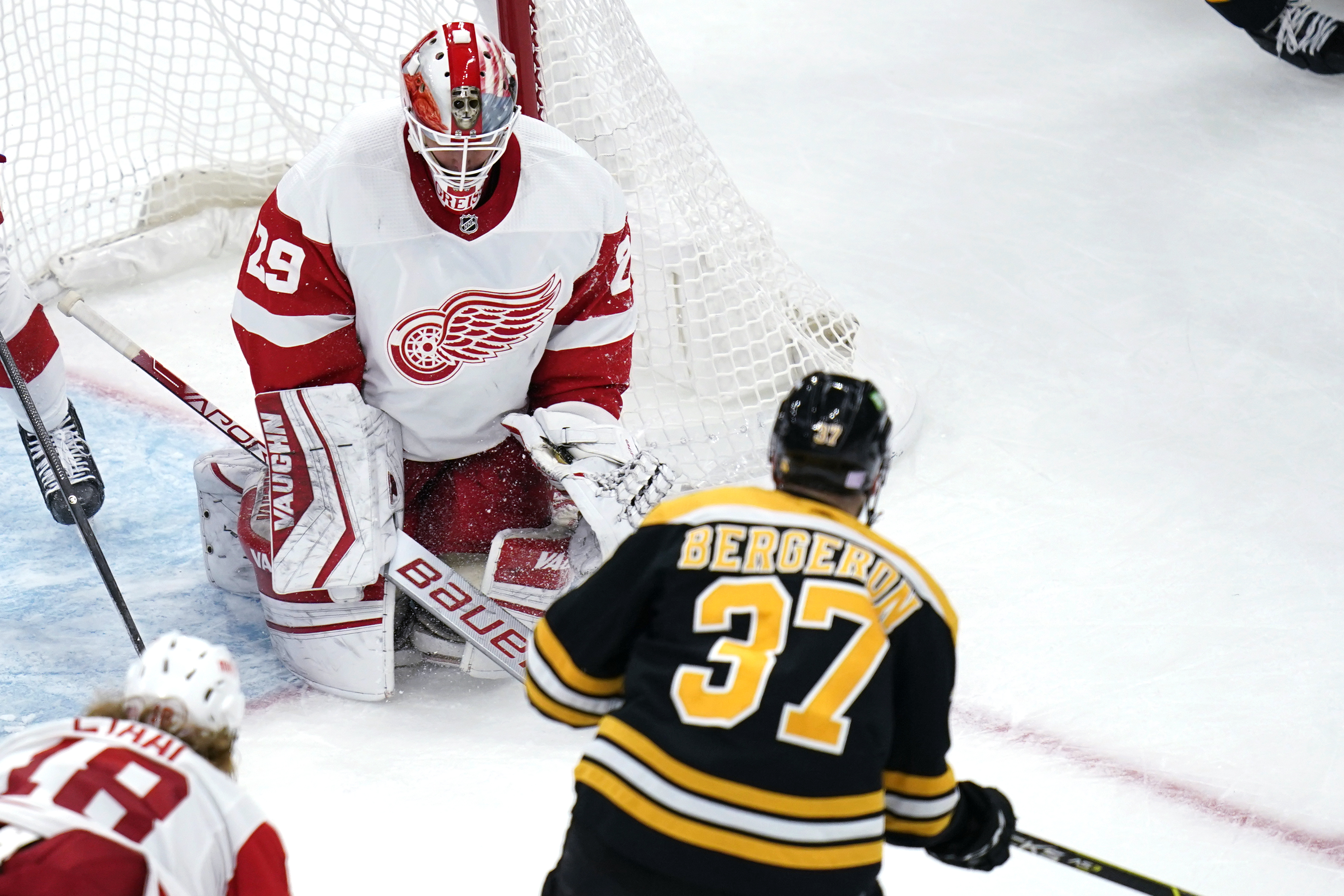 Red Wings Bruins Hockey Thomas Greiss