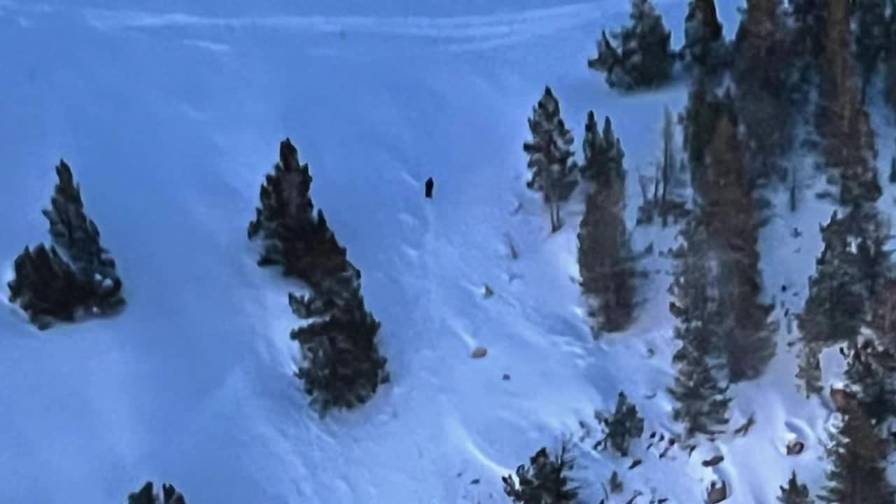 Miracle in the Mountains: Wyoming rescuers arrive just in time - Vimarsana News