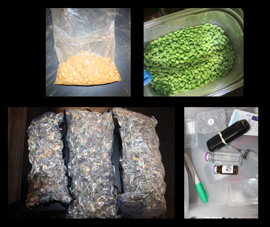 Untitled design (1).png