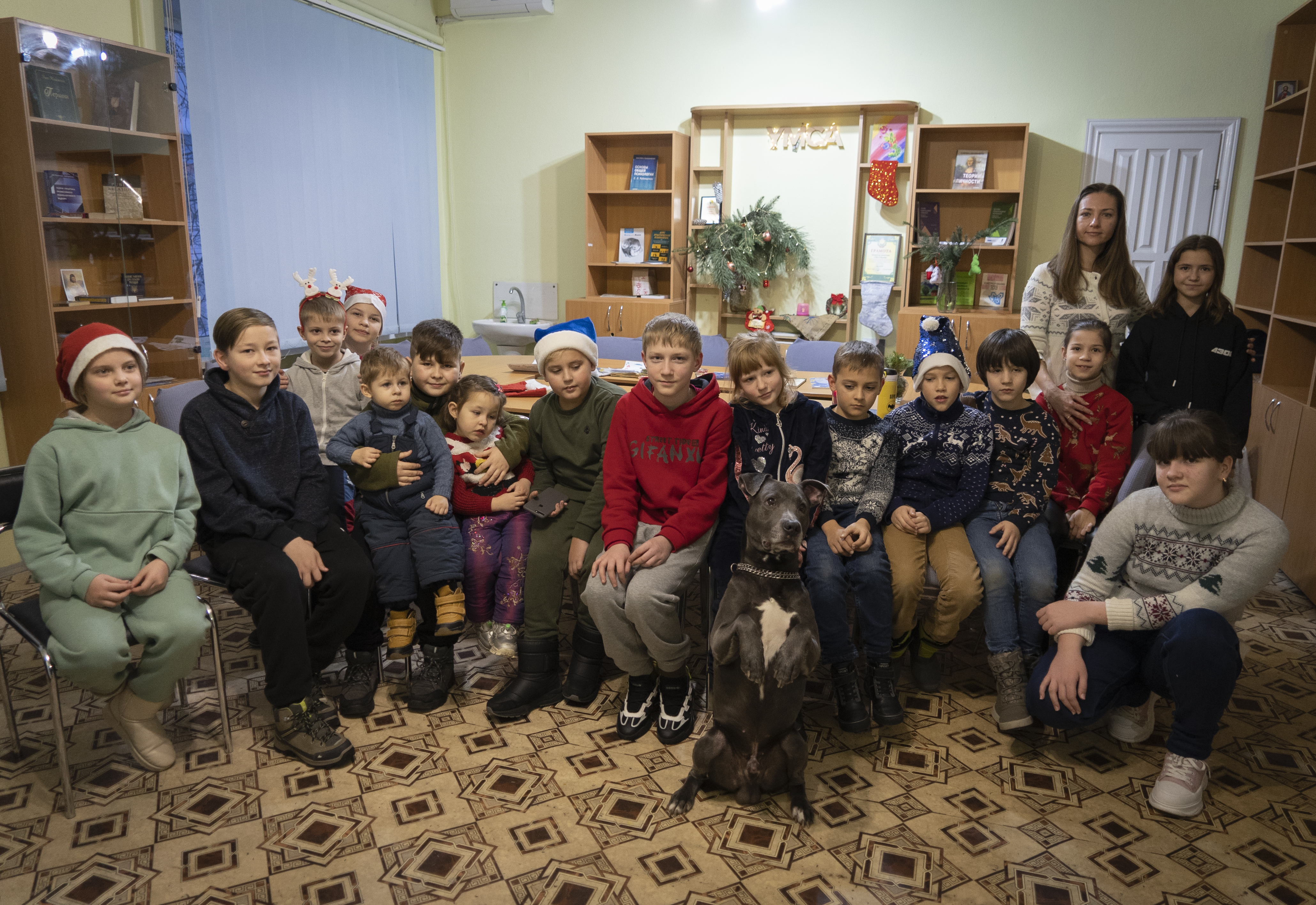 Russia Ukraine War Canine Therapy