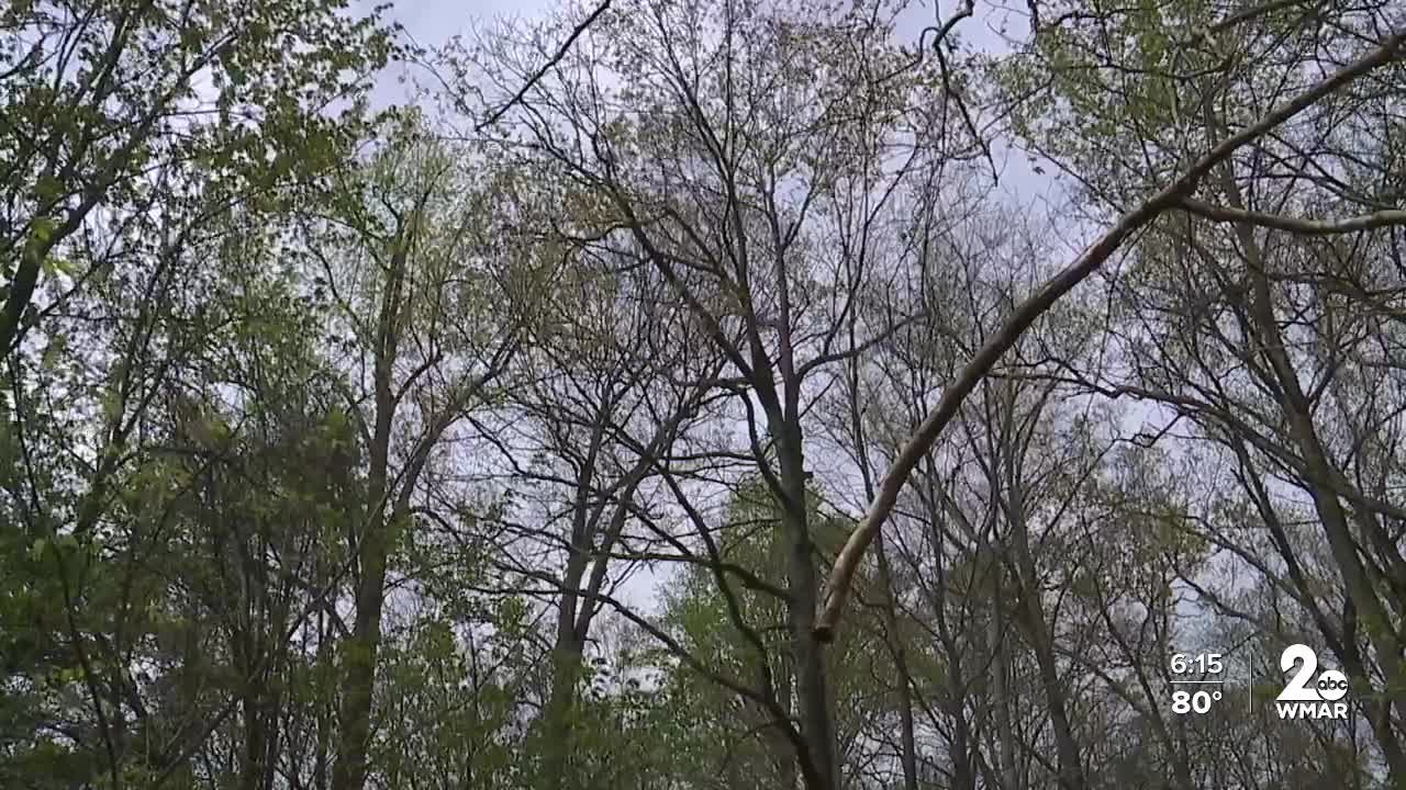 Anne Arundel County land.jpg