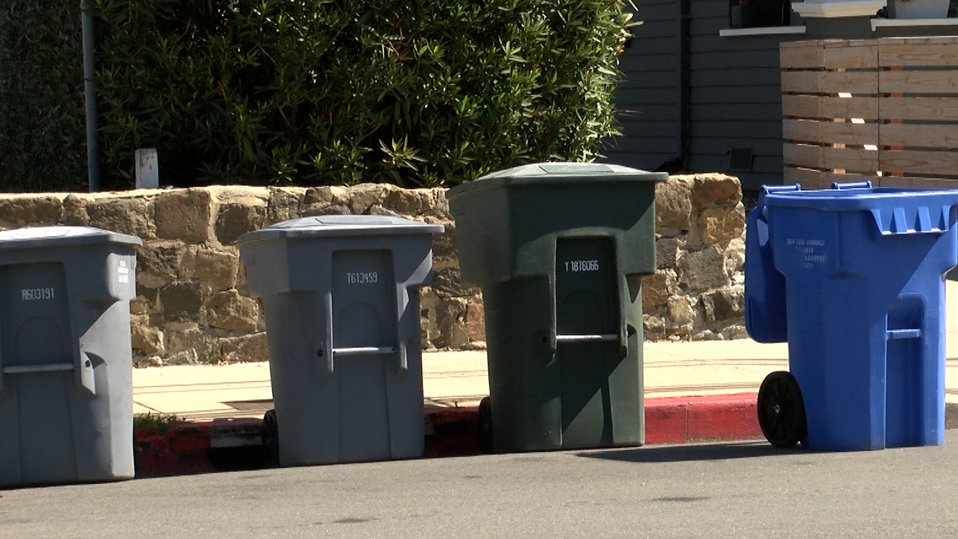 trash .jpg