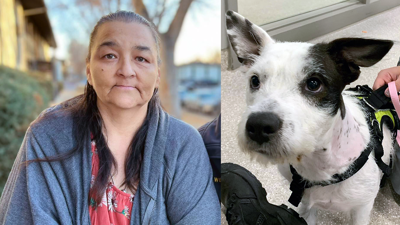 wheat ridge dog saved from strangulation