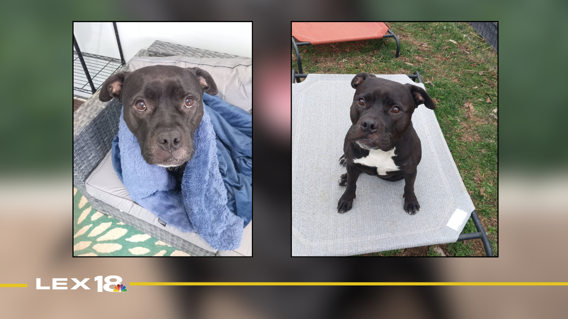 Featured Image Custom Edit (15).png