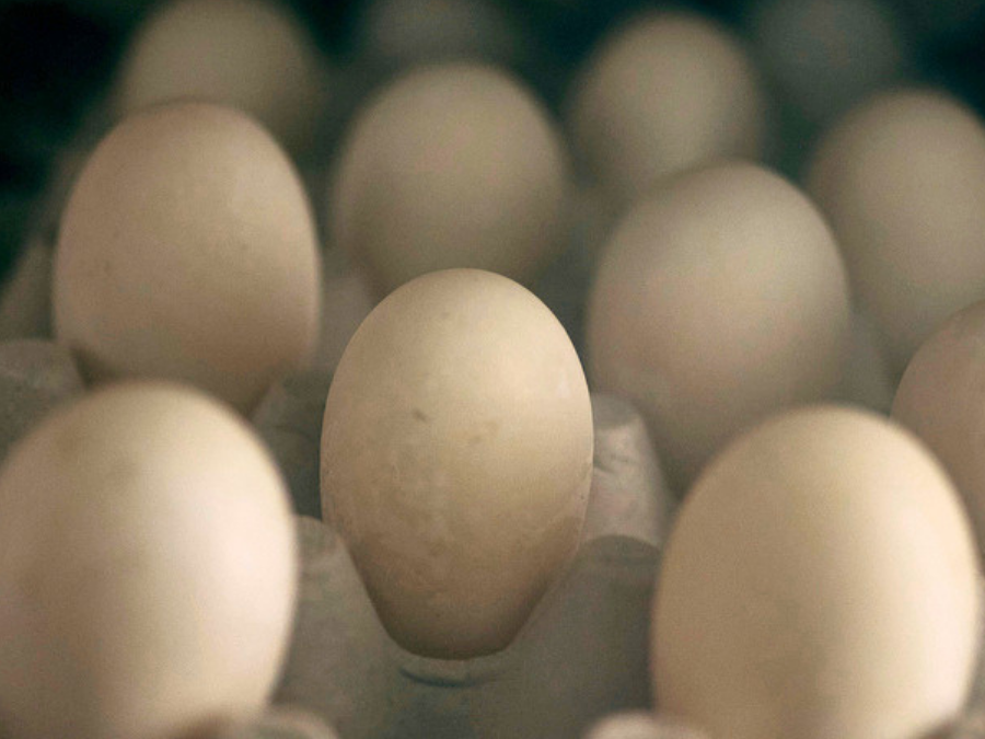 eggs_carton_apphoto_file.png