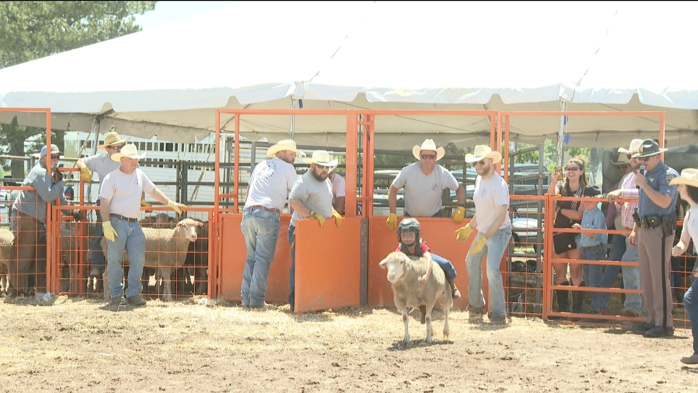 Mutton Bustin'