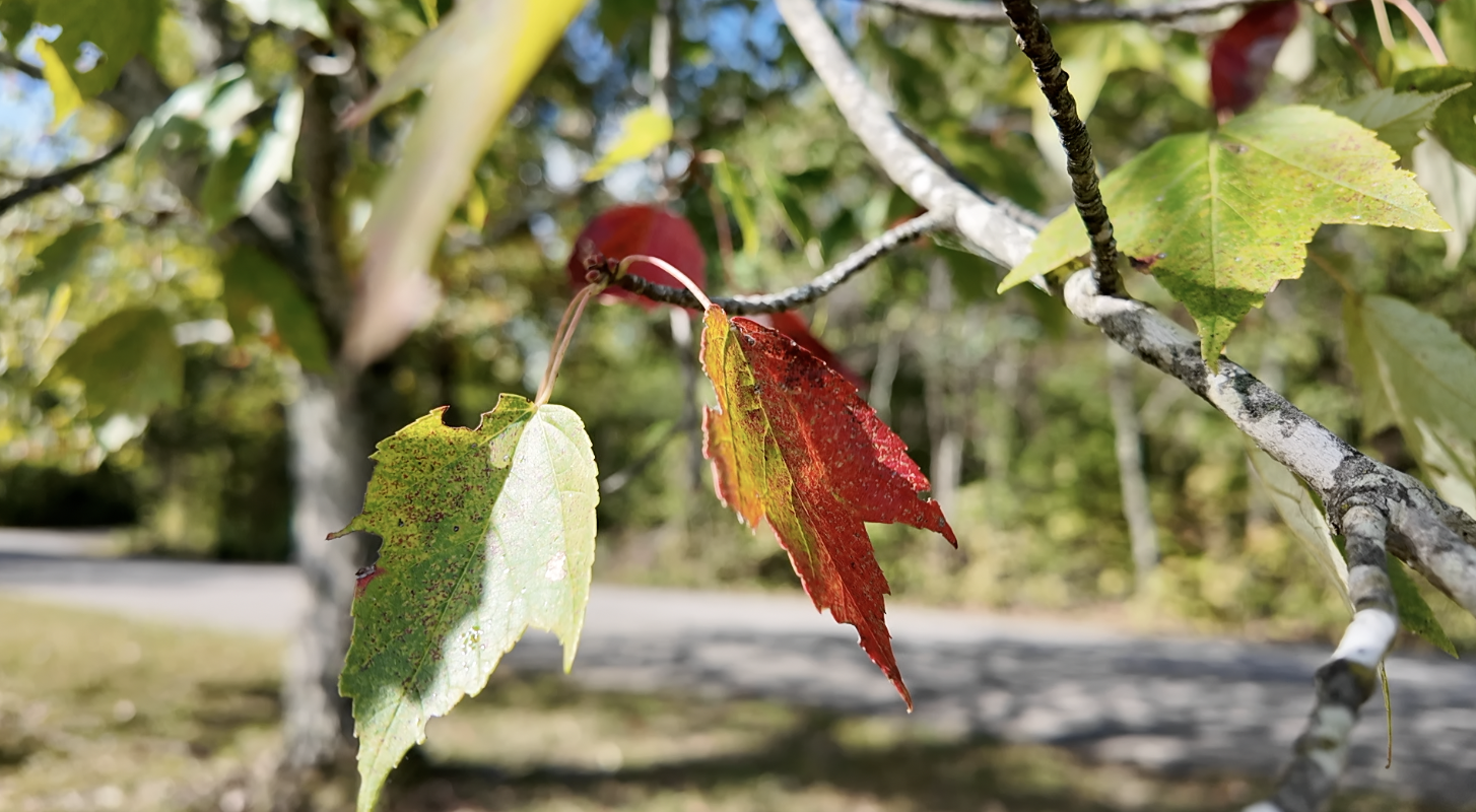 Screenshot 2025-10-03 at 5.40.24 PM.png