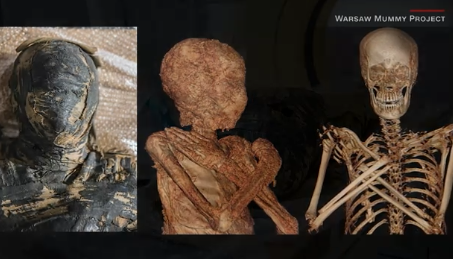 mummy3.png