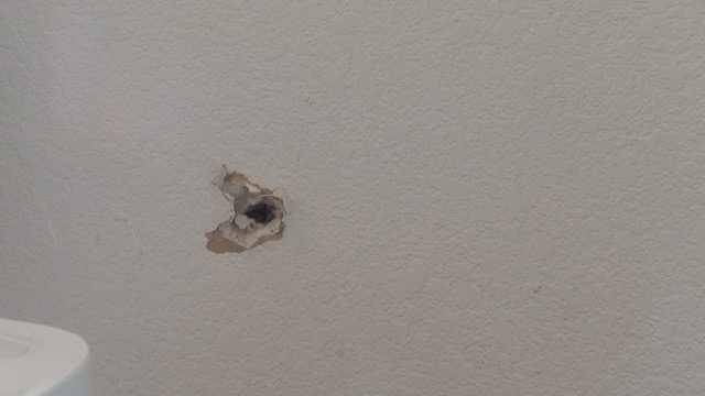 Zlotnik bullet hole.jpeg