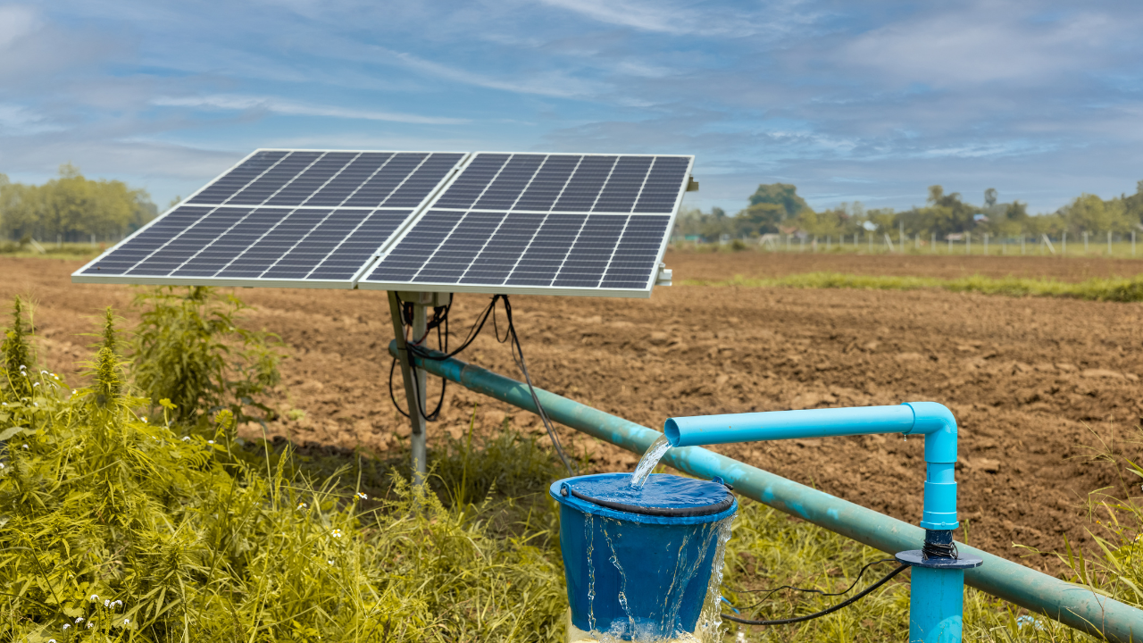 Solar Panel in Farm Field (FILE)