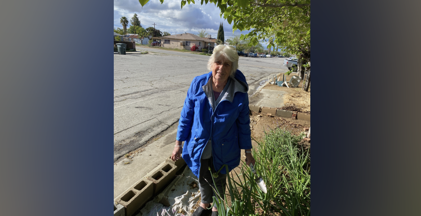 Screenshot 2026-03-31 at 5.49.34 AM.png