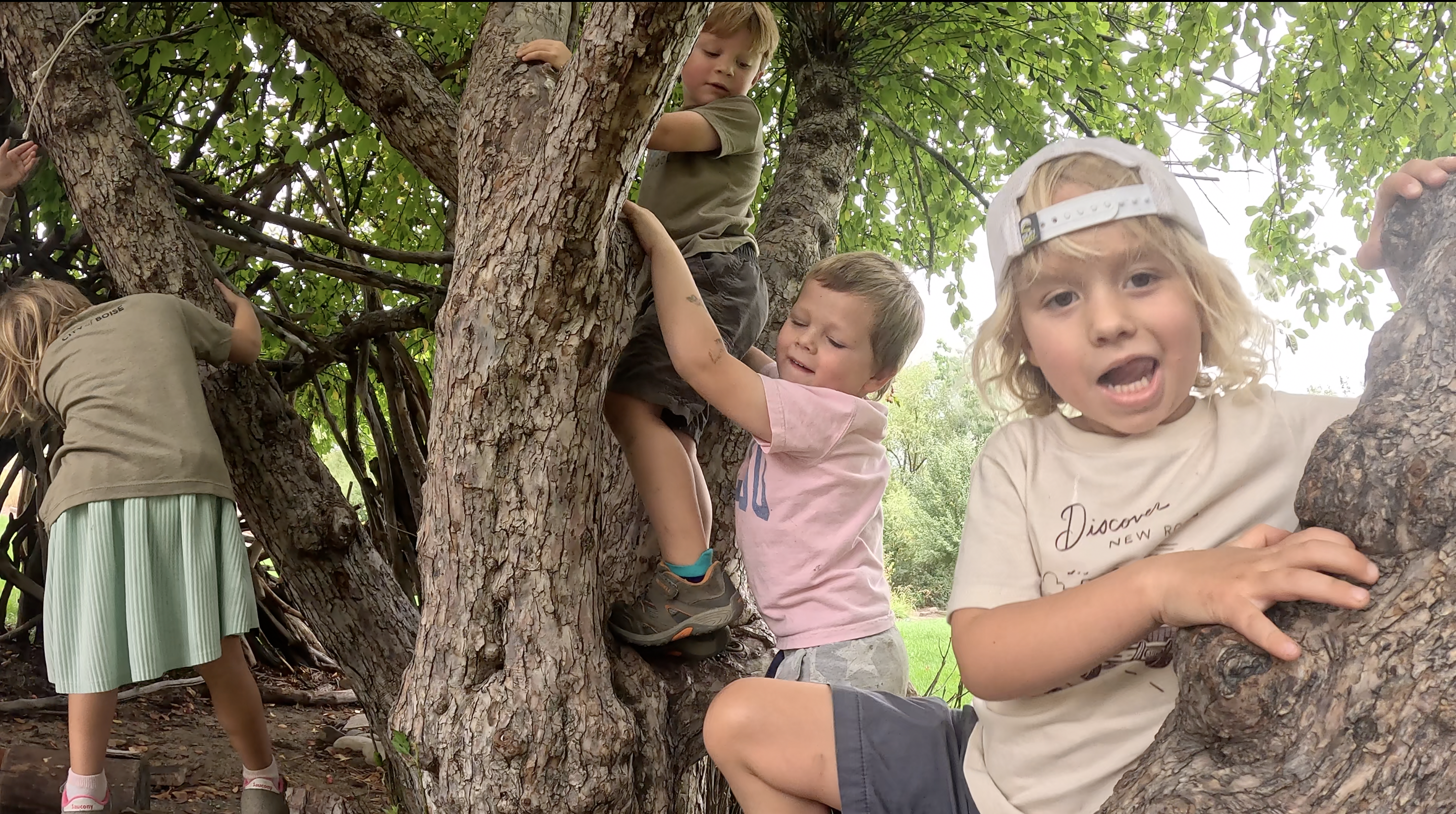 Boise Preschool Trees 