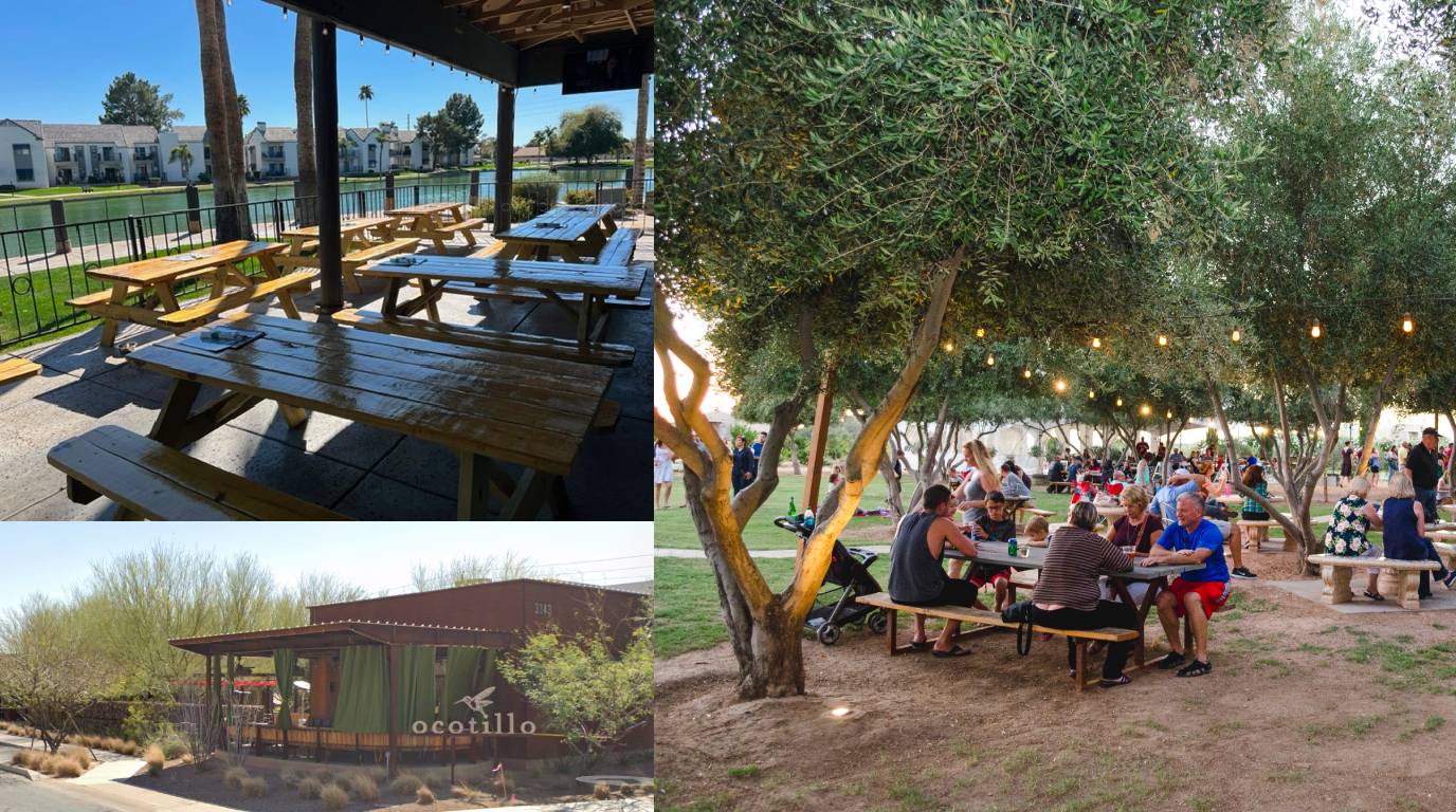 PATENT 139 BREWING CO./ OCOTILLO / QUEEN CREEK OLIVE MILL in Arizona 