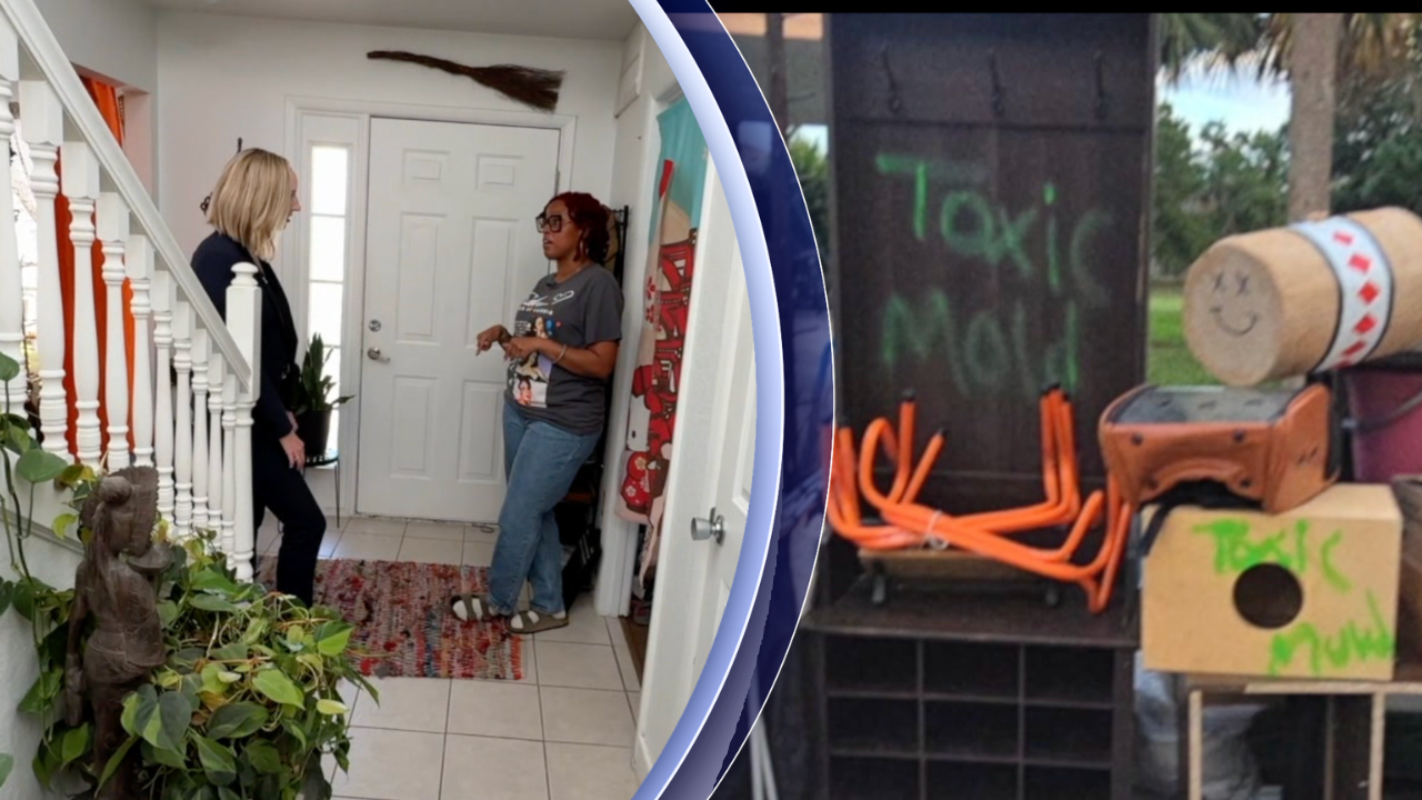 MacDill housing contractor on performance improvement plan amid mold claims