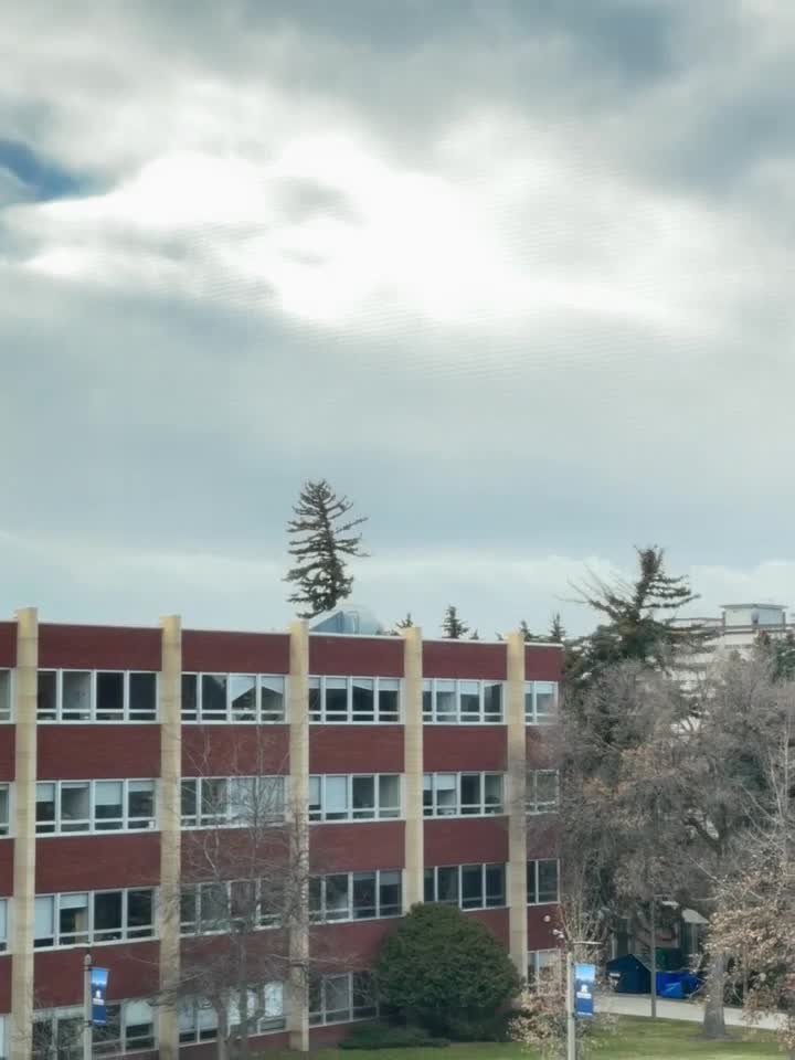 Poster image (2).jpg