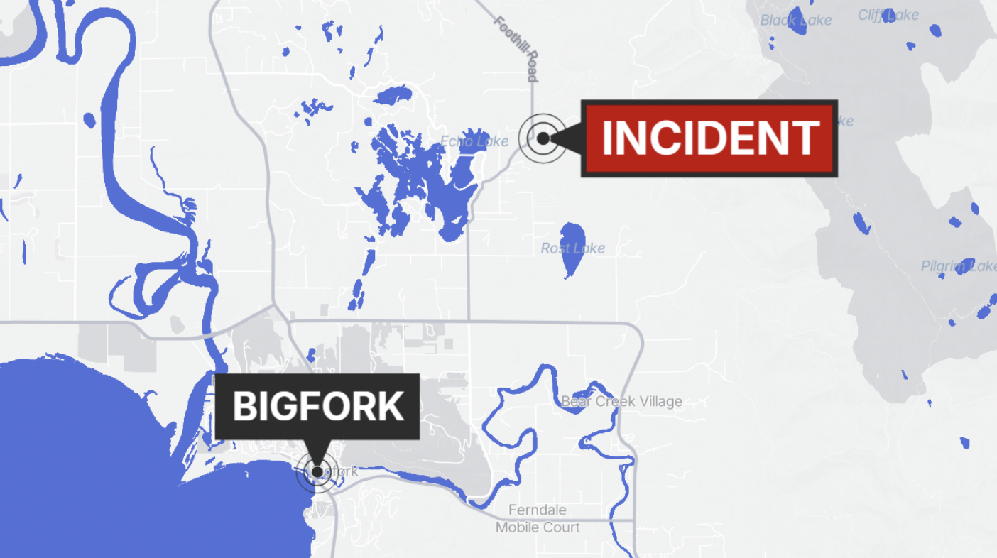 Bigfork Party 