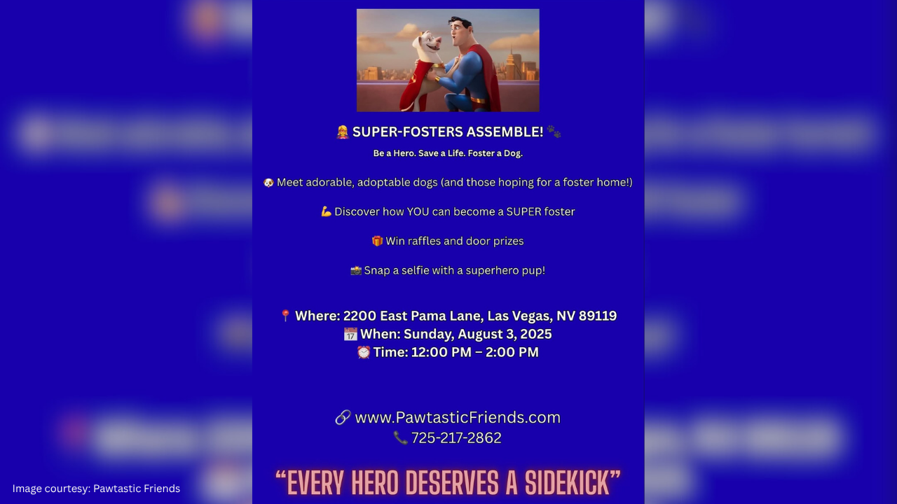 Pawtastic Friends' Monthly Foster Fair