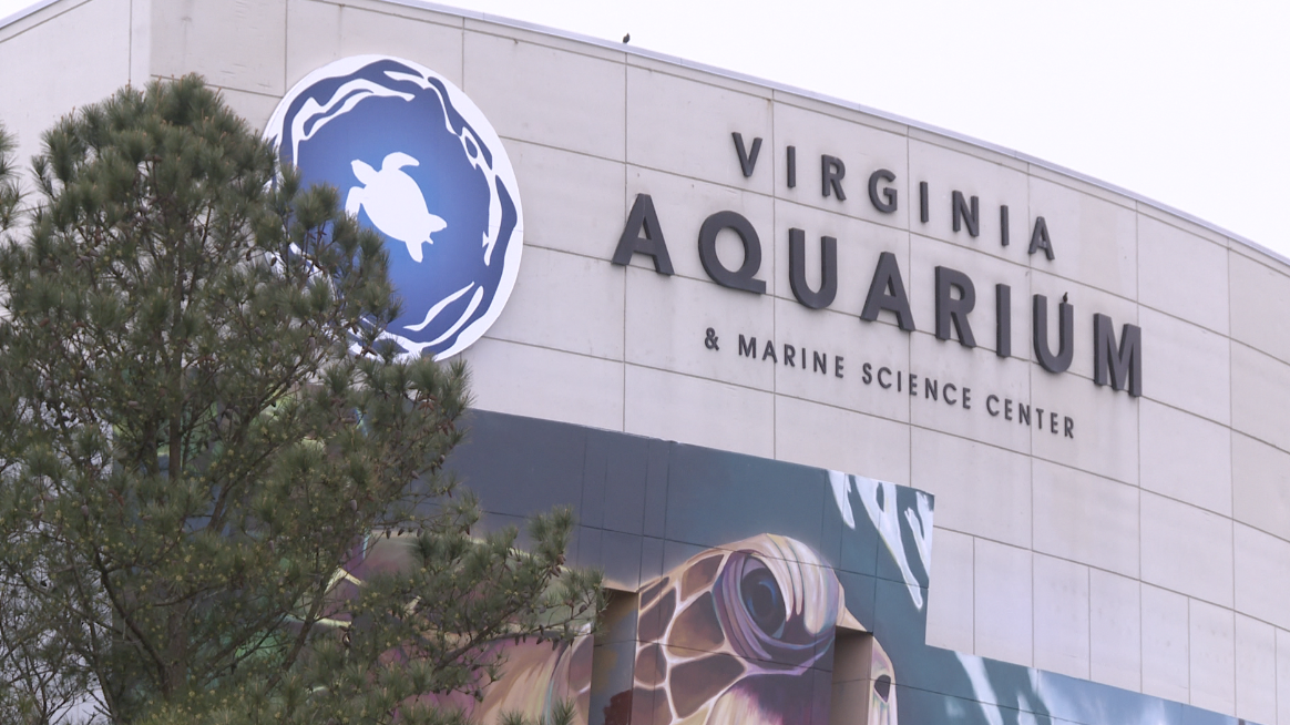 Virginia Aquarium