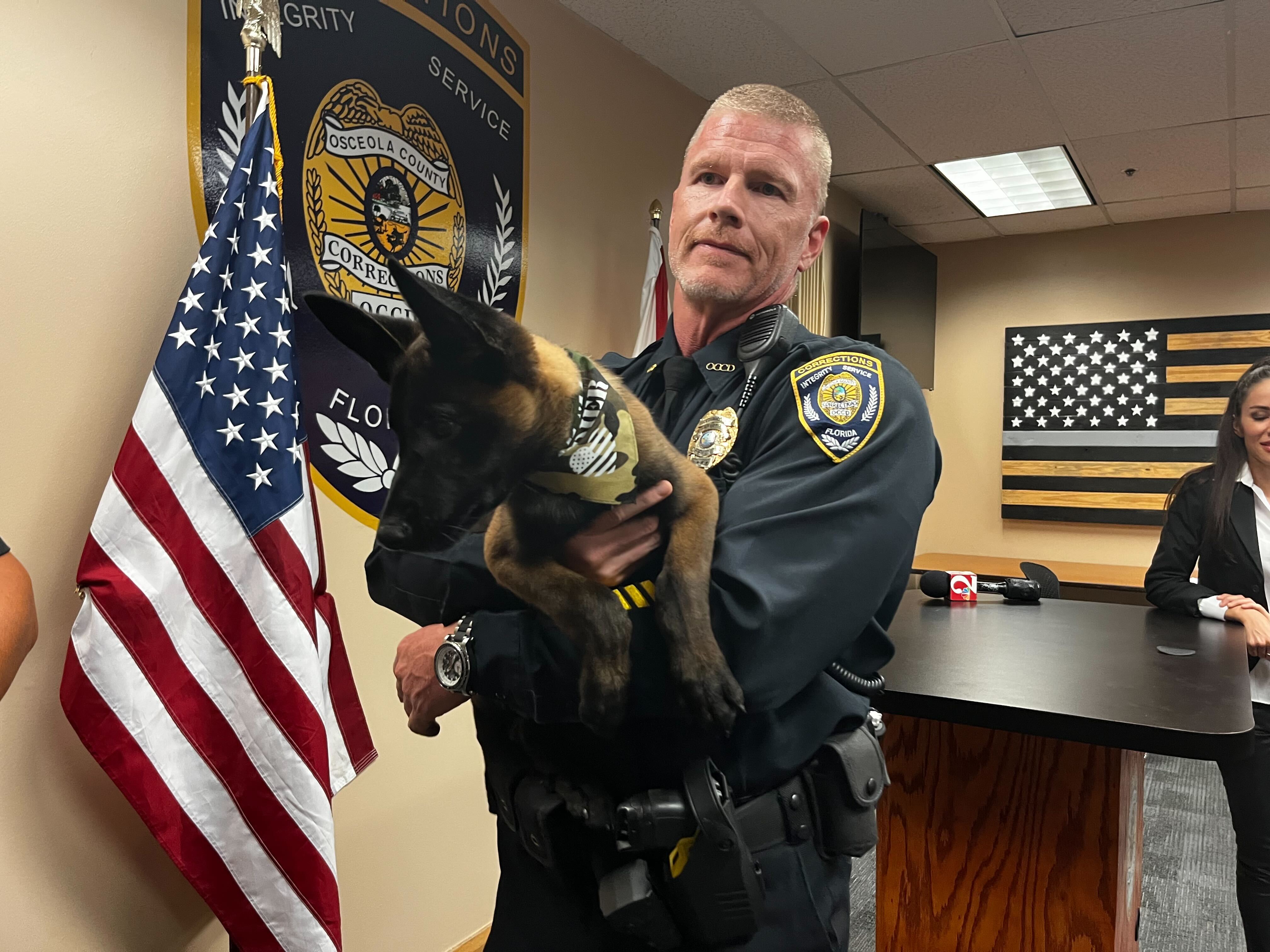 Officer Lynch support dog