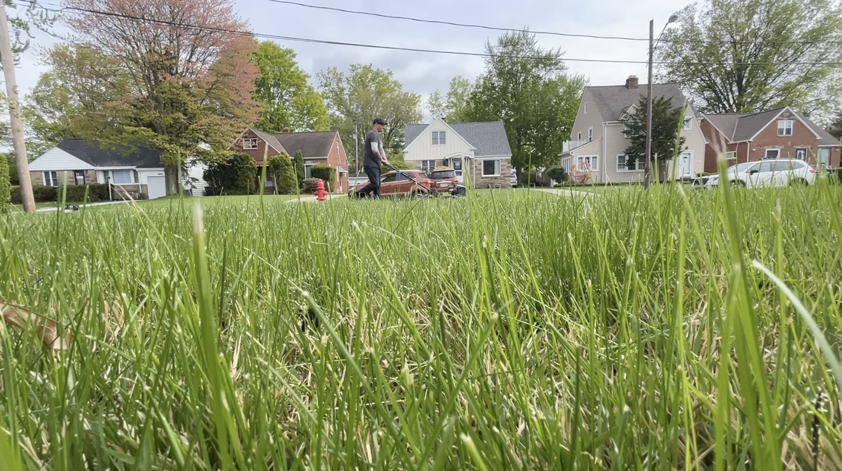 Dani Pajak mowing a Euclid homeowner's lawn on Thursday, May 8