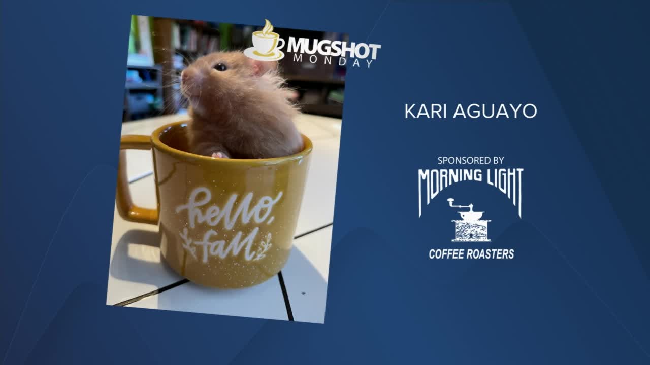 Mug Shot Monday (November 22, 2021)