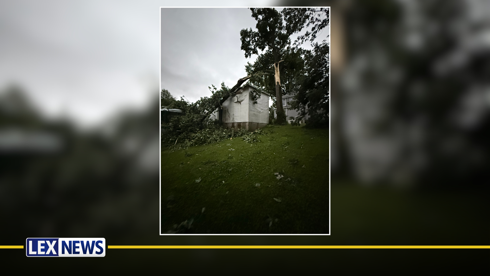 Uprooted tree falls on Cynthiana home due to storm damage