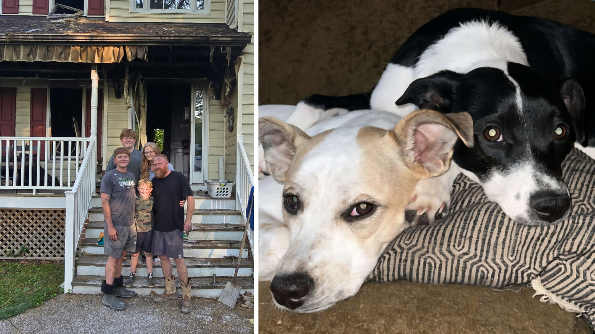 Community rallies around Glen Allen family who lost home, 2 dogs in house fire