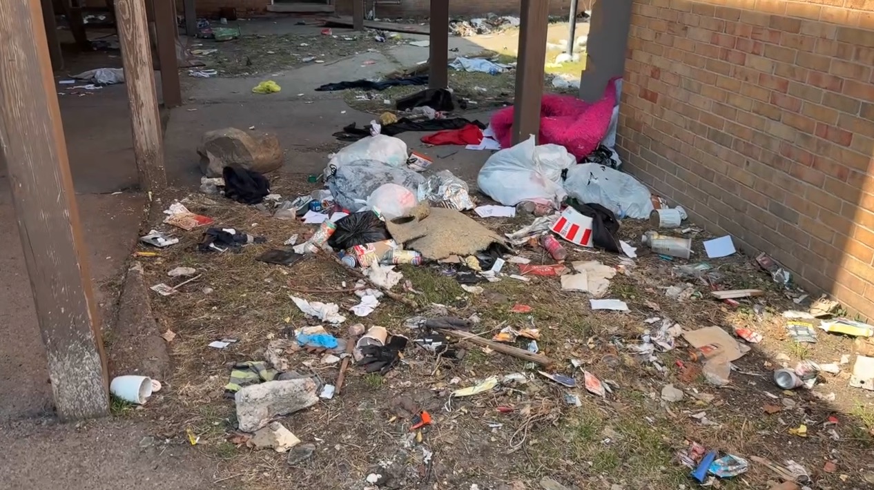 Screenshot 2026-03-30 at 5.32.50 PM.jpg