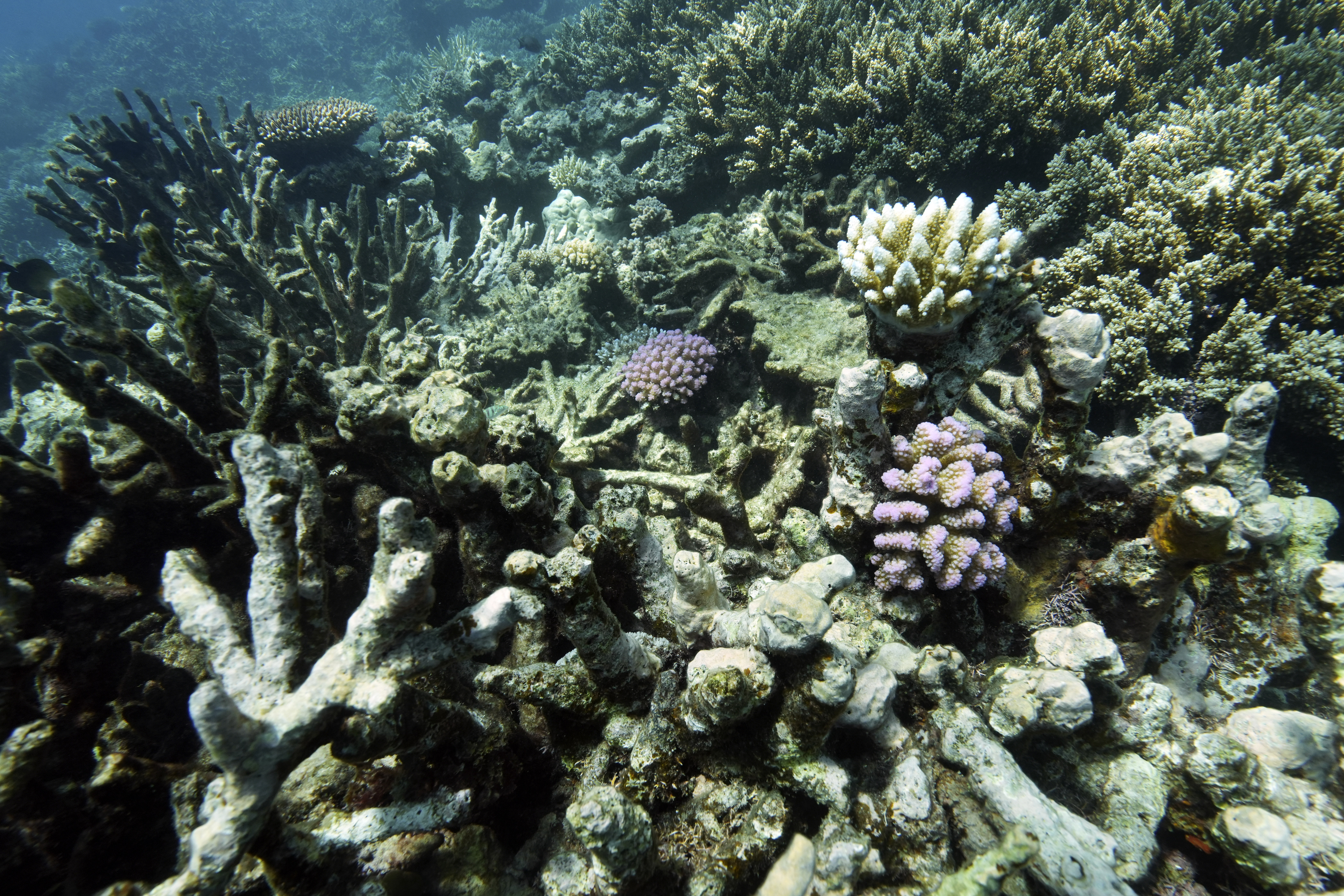 Climate Mining Deep Sea Explainer