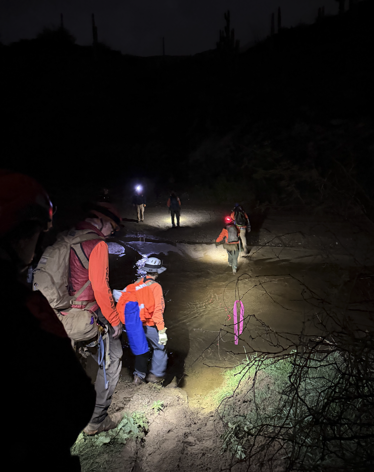 Bumble Bee hiker rescue New Years Day