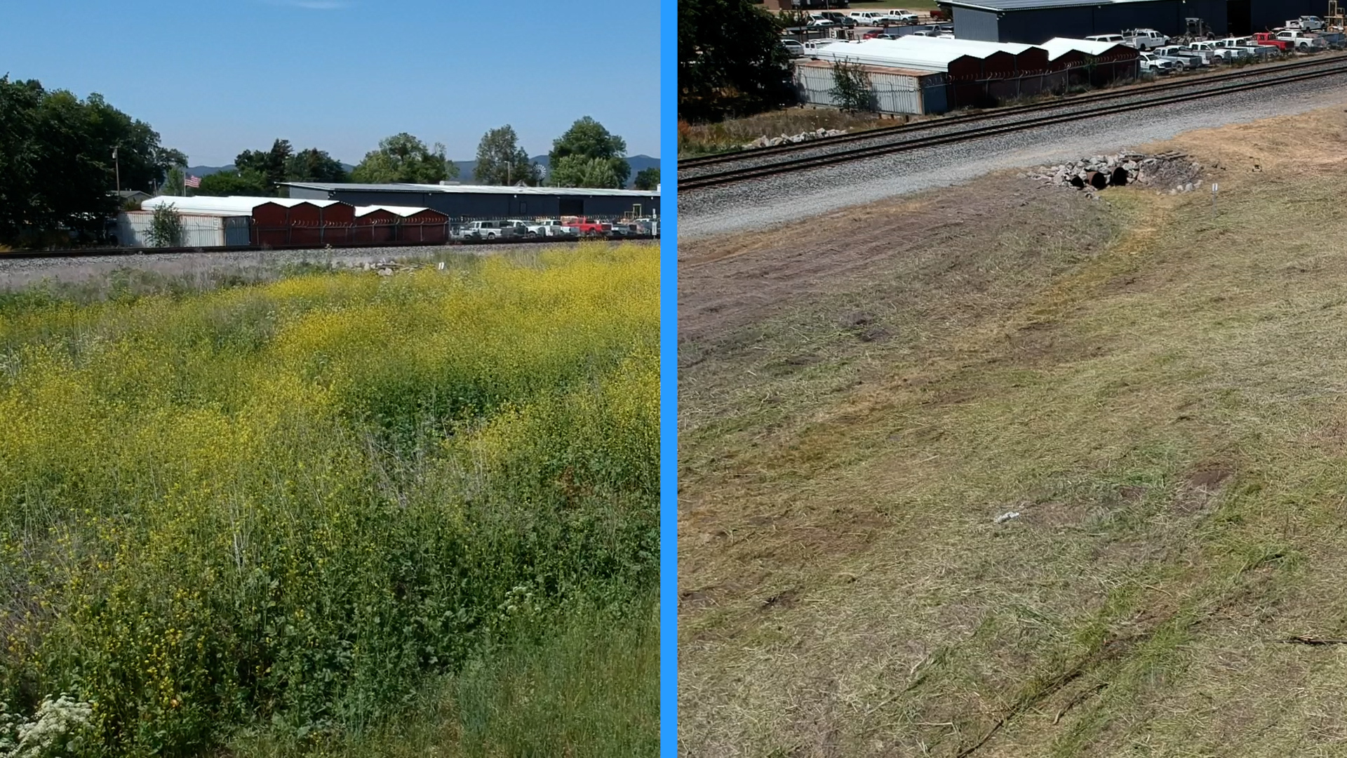 Sequence 02.00_03_18_53.Still001.jpg