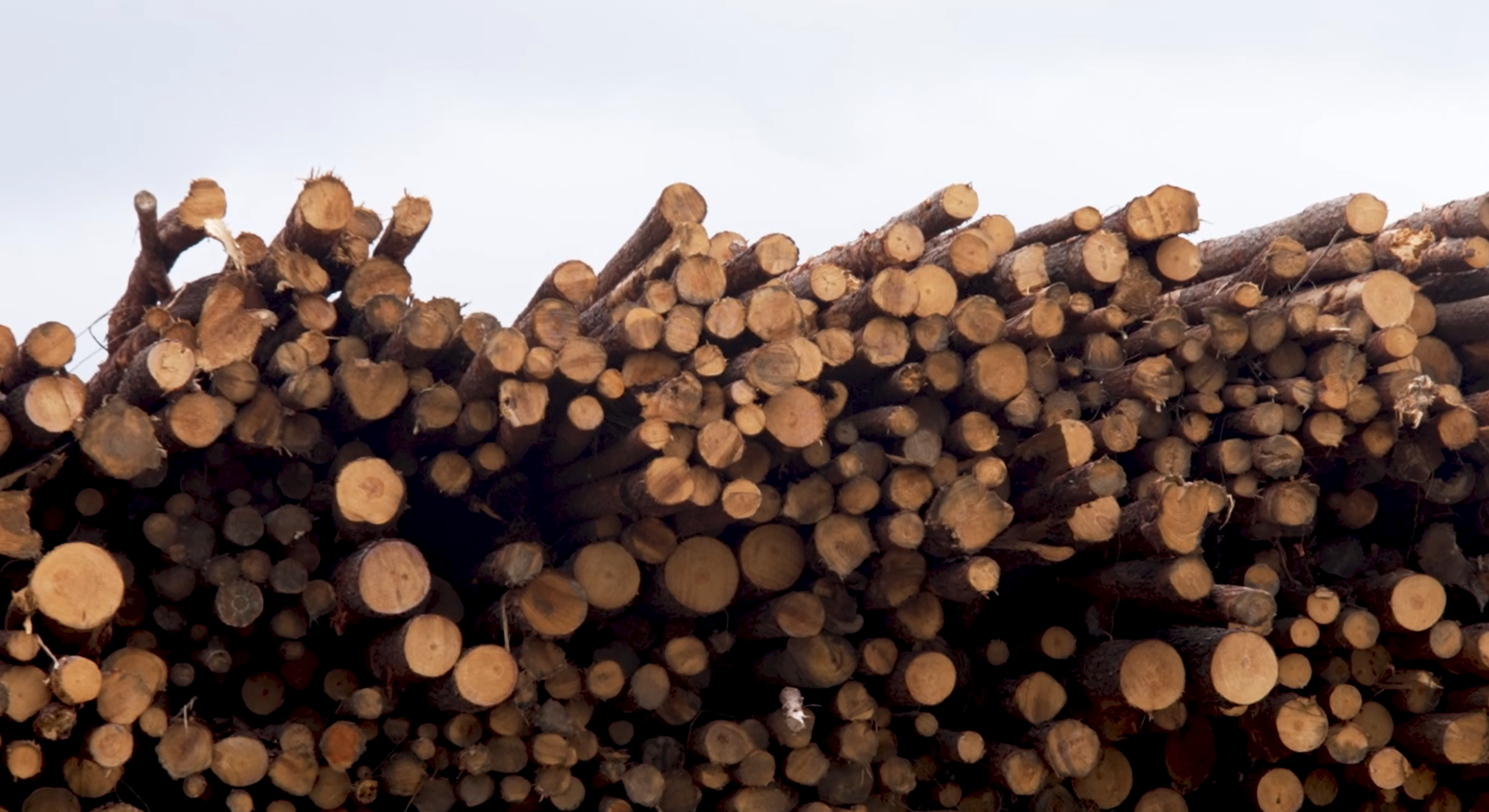 Wood pellets air pollution