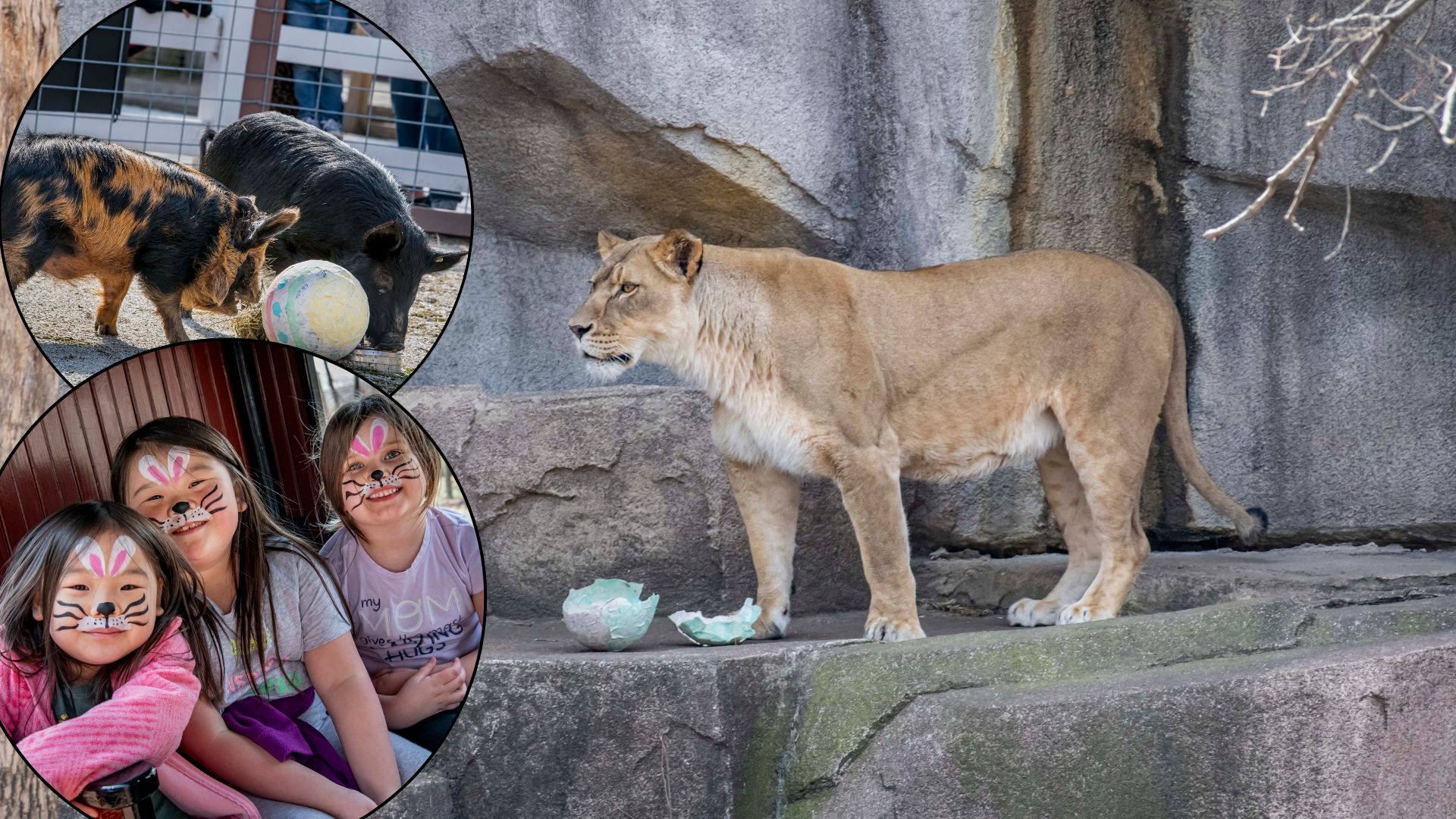 Untitled design (8).jpg