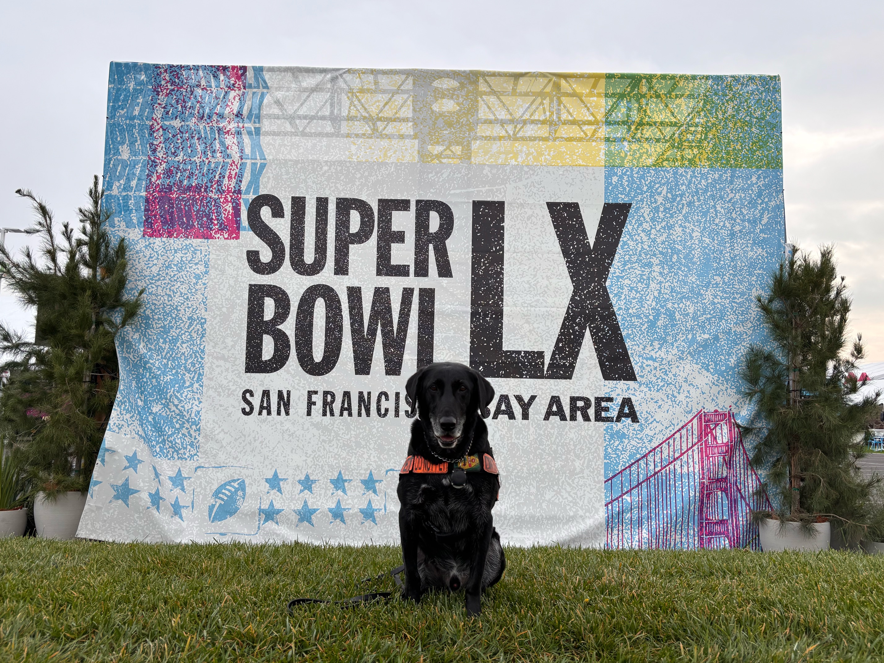 LAS K9 teams Super Bowl 