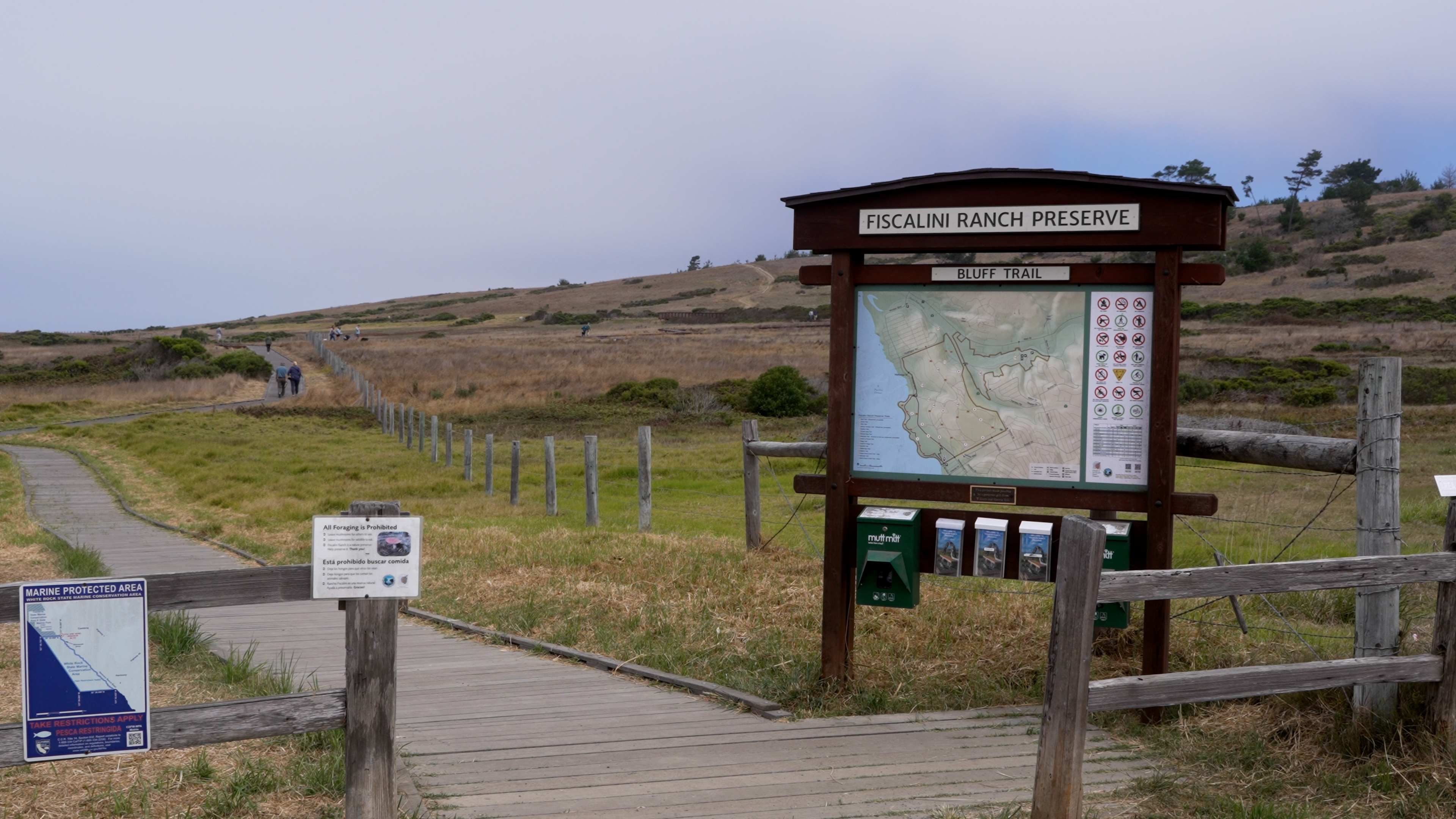 fiscalini ranch.jpg