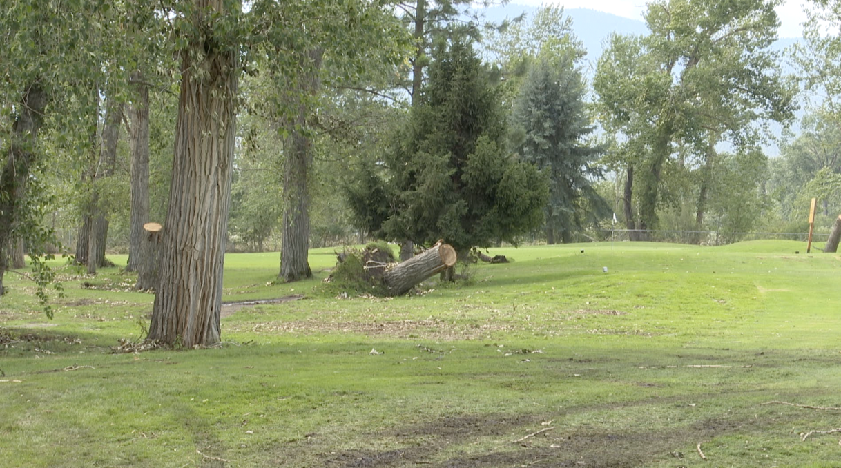 Downed trees at Linda Vista Golf Course, Missoula