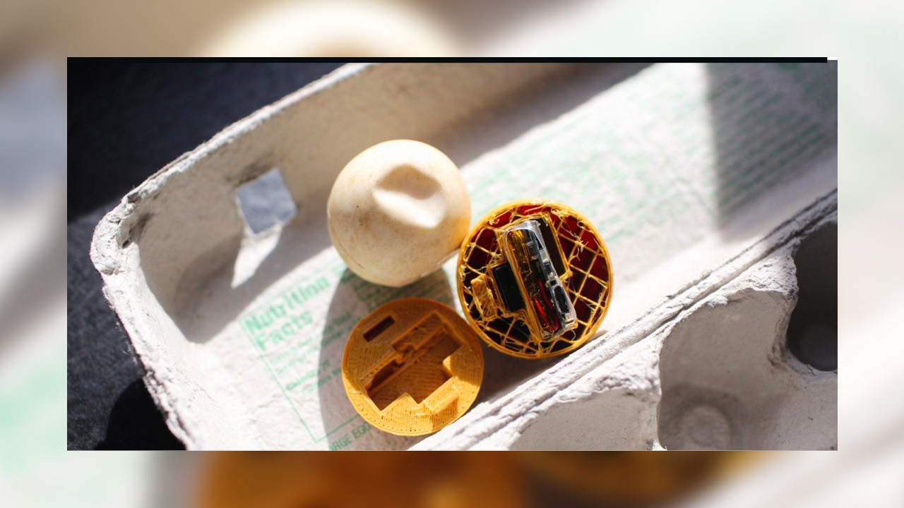Non-profit develod decoy sea turtle eggs with built-in GPS trackers to help track poachers