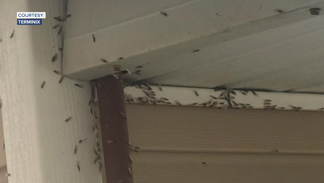 Screenshot 2026-03-27 at 5.53.38 PM.png